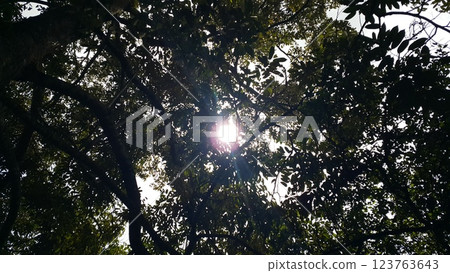 Very beautiful nature background. Wallpaper. 123763643