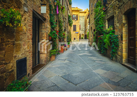 Admirable narrow street decorated with flowers and green plants, Italy 123763755