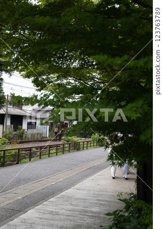 夏天的開始 123763789