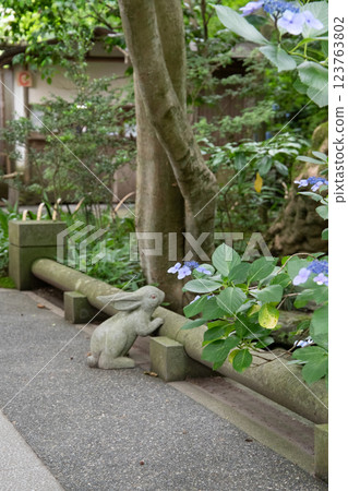 Landscape with hydrangeas Landscape with hydrangeas 123763802