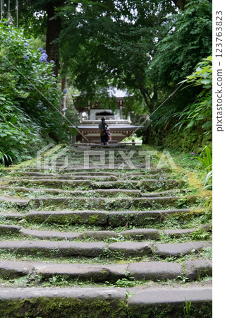 green stairs 123763823