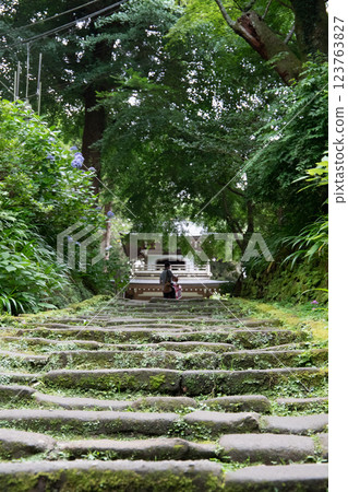 通往綠意盎然的神社的道路 123763827