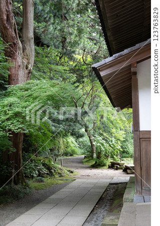 The grounds of Anrakuji temple surrounded by fresh greenery 123763829