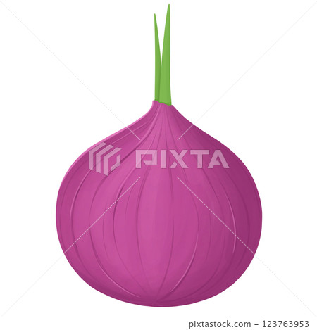 Shallots purple onions red scallion sprouts vegetables Shallots purple onions red scallion sprouts vegetables 123763953