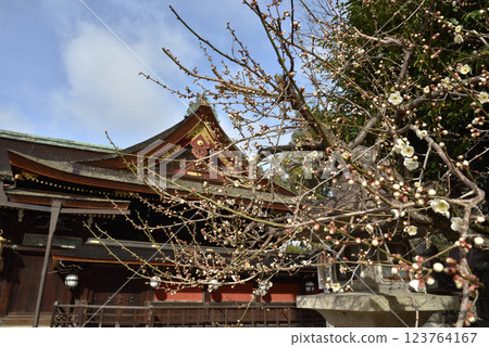 北野天滿宮：初綻的白梅與本殿（京都市上京區） 123764167