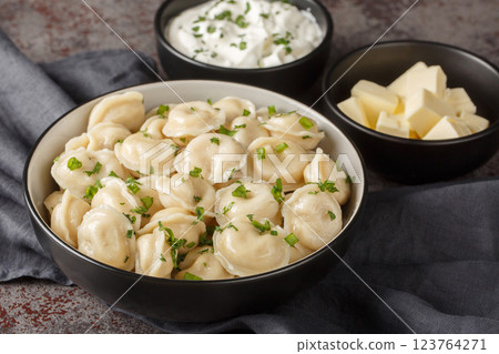 Homemade Meat Dumplings or Pelmeni with fresh parsley on plate close-up. Horizontal Homemade Meat Dumplings or Pelmeni with fresh parsley on plate close-up. Horizontal 123764271