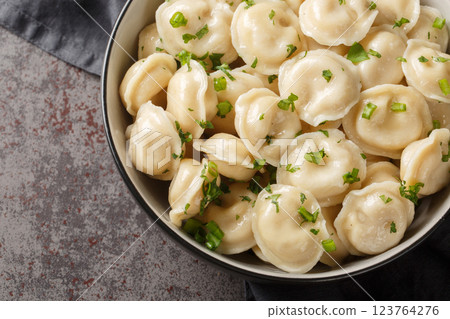 Homemade Meat Dumplings or Pelmeni with fresh parsley on plate close-up. Horizontal top view 123764276