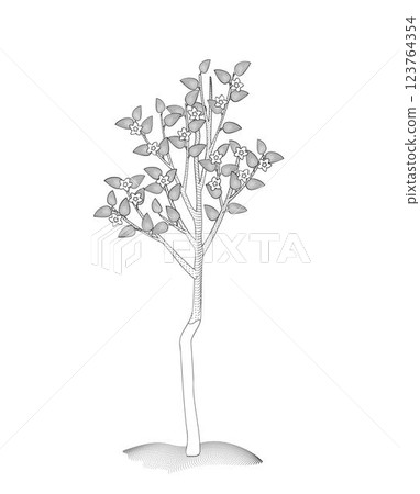 blossoming apple tree with whitewashed trunk black and white vector illustration blossoming apple tree with whitewashed trunk black and white vector illustration 123764354