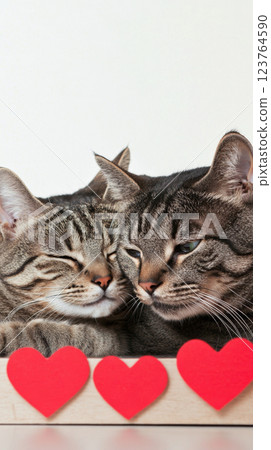 Two kittens cuddling with hearts, suitable for St. Valentines Day postcard Two kittens cuddling with hearts, suitable for St. Valentines Day postcard 123764590