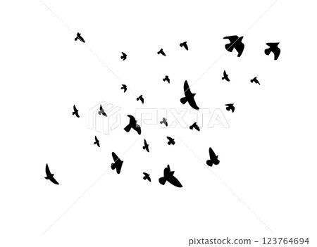 Flying birds silhouette flock. hand drawing. Not AI. Vector illustration 123764694