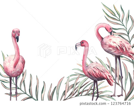 Watercolor frame of palm branches and pink flamingo with space for text. Exotic African animal isolated on white background. Tropical template for design of cards and invitation 123764716