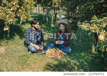 Farmer working in orange orchard. Farmer working in orange orchard. 123764752