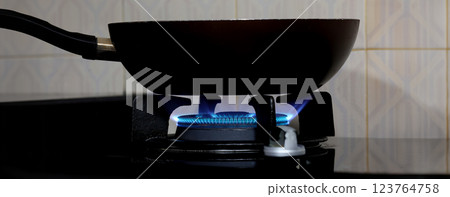 Fire flame burning on a gas stove in the kitchen. Fire flame burning on a gas stove in the kitchen. 123764758