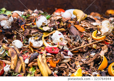composting pile of vegetables fruits. Concept Organic waste, clean environment composting pile of vegetables fruits. Concept Organic waste, clean environment 123764944