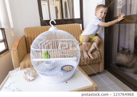 Little boy playing with pets at home: cat watching parrot in cage 123764968