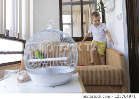 Child having fun next to a parakeet's cage in a house Child having fun next to a parakeet's cage in a house 123764971