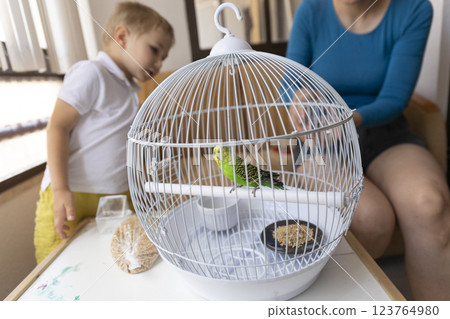 Green budgie perched in white cage, observing curious child and woman Green budgie perched in white cage, observing curious child and woman 123764980