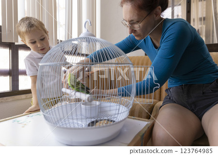 Mother and son caring for pet budgie in cage at home 123764985