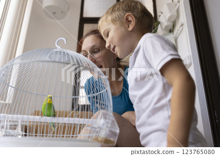 Grandmother and grandson admiring a small bird in a cage 123765080