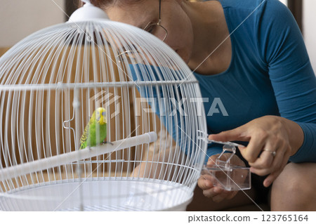 Woman refilling bird feeder in white cage with budgie parrot 123765164