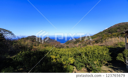 Rice terraces in Ishibe, Southern Alps, Mount Fuji, overlooking Suruga Bay in winter Rice terraces in Ishibe, Southern Alps, Mount Fuji, overlooking Suruga Bay in winter 123765679