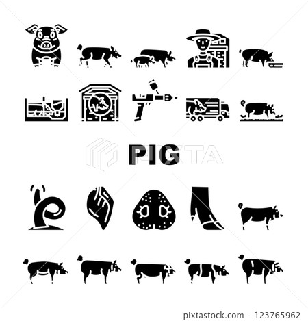 pig pork farm icons set vector pig pork farm icons set vector 123765962
