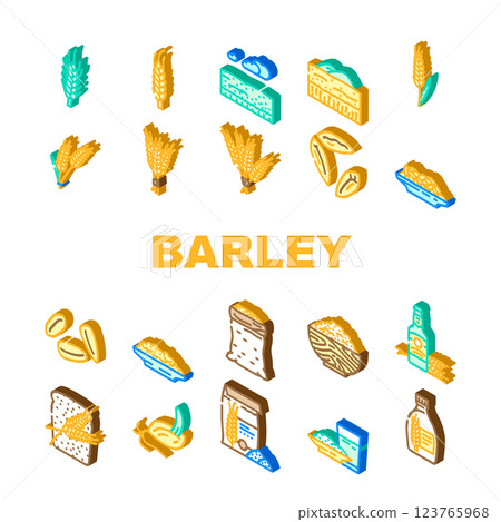 barley grain wheat icons set vector 123765968