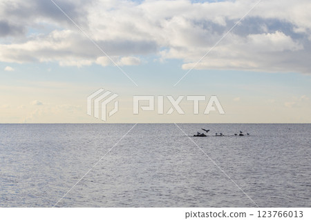 Peaceful seascape featuring a calm ocean, birds resting on stones Peaceful seascape featuring a calm ocean, birds resting on stones 123766013