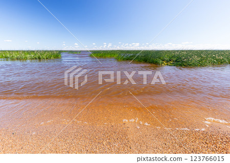 A bright sunny summer day on a sea coast with serene water 123766015