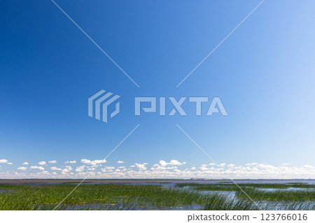 Serene natural scene with a blue sky above expansive wetlands Serene natural scene with a blue sky above expansive wetlands 123766016