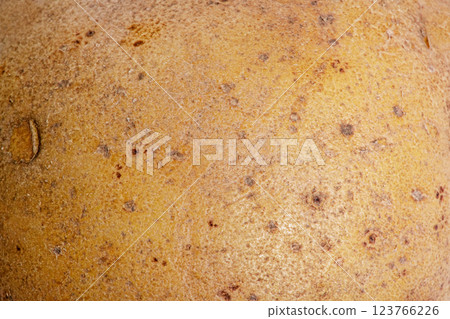 Potato macro photo as background. Food photo, potato texture. Food as a texture background. Potato macro photo as background. Food photo, potato texture. Food as a texture background. 123766226