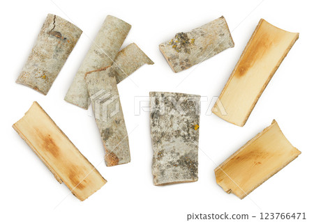 piece of aspen bark. Isolated on white background. Top view, flat lay 123766471