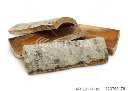 piece of aspen bark. Isolated on white background. piece of aspen bark. Isolated on white background. 123766476