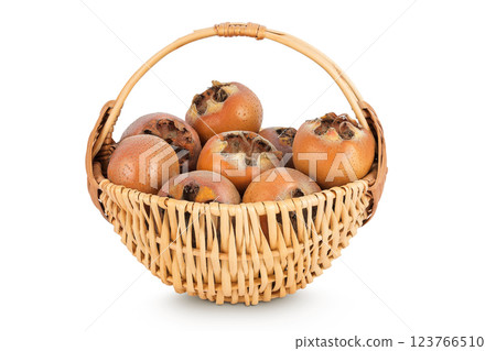 Brown fresh medlars in a wicker basket isolated on white background. Mespilus germanica close-up 123766510