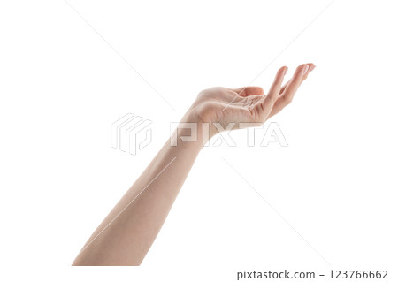 Female hand hold something isolated on white Female hand hold something isolated on white 123766662