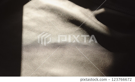 soft supple gray leather background with light streak from sun soft supple gray leather background with light streak from sun 123766672