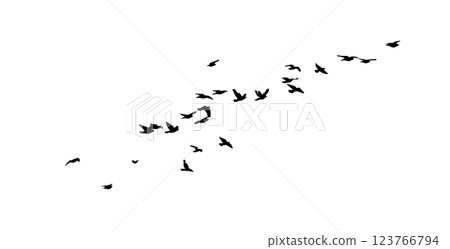 Flying birds silhouette flock. hand drawing. Not AI. Vector illustration 123766794