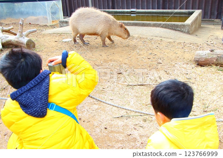 Brothers playing at the zoo 123766999