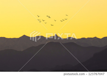 黃昏的山脊和一群候鳥 123767047