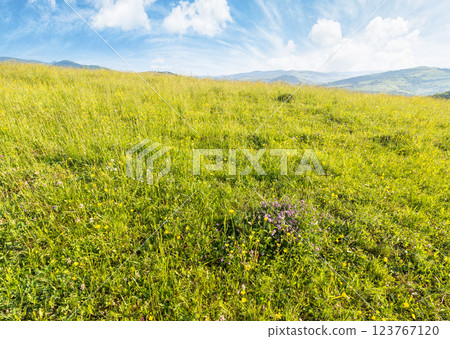 mountainous countryside landscape in summer. outdoor adventure. grassy meadow on top of a hill. distant mountain ridge in morning light. sunny weather with clouds on the blue sky. lush wide field 123767120