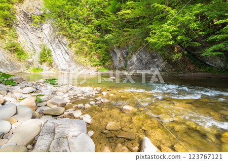 mountain river with stones on the shore. transparent water. scenic landscape with forest on the rocky mountain slope. nature scenery on a sunny summer day. travel background mountain river with stones on the shore. transparent water. scenic landscape with forest on the rocky mountain slope. nature scenery on a sunny summer day. travel background 123767121