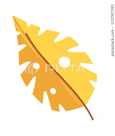 Dried plant leaf prehistoric fossil Dried plant leaf prehistoric fossil 123767393