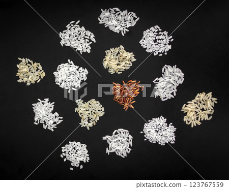 different kinds of organic asian thai rice variety grains on black background different kinds of organic asian thai rice variety grains on black background 123767559