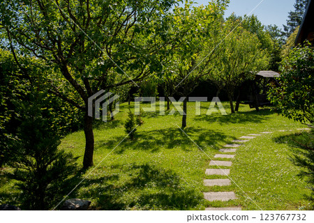 Small green garden with some blooming fruit trees. 123767732