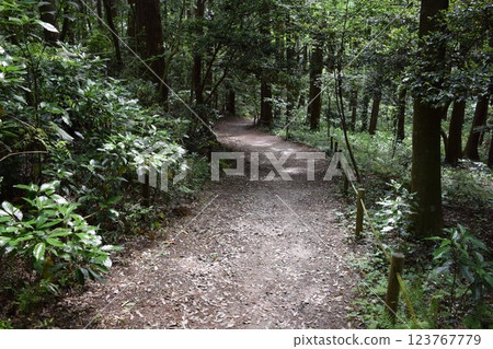 Nature trails Forest bathing Nature trails Forest bathing 123767779