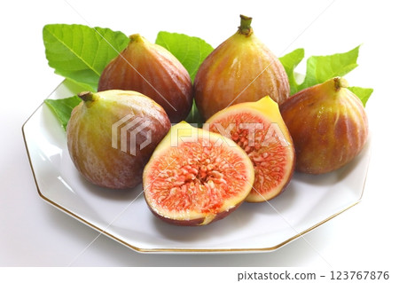 無花果 123767876