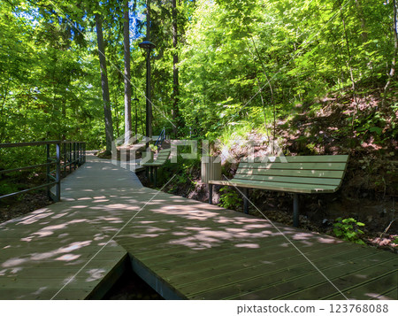 Empty wood bench on walkway made by wooden boards outdoors among forest or park with lush green trees at sunny summer day. With no people serene woodland landscape. Empty wood bench on walkway made by wooden boards outdoors among forest or park with lush green trees at sunny summer day. With no people serene woodland landscape. 123768088