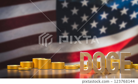 The Doge and coins on USA flag Background 3d Rendering. The Doge and coins on USA flag Background 3d Rendering. 123768144