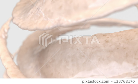 The White Marble Splash on White Background for Abstract Background concept 3d Rendering. 123768170