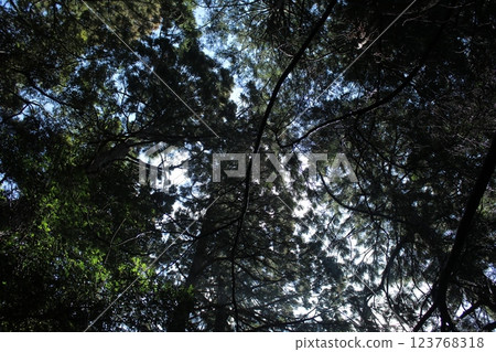 Mount Tsukuba scenery 123768318